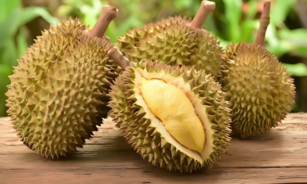 Sầu riêng Monthong có nguồn gốc từ Thái Lan Sầu riêng Monthong có nguồn gốc từ Thái Lan