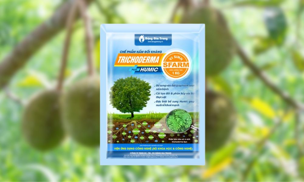 Bà con có thể dùng chế phẩm sinh học như Trichoderma Plus Humic SFARM để phòng bệnh Bà con có thể dùng chế phẩm sinh học như Trichoderma Plus Humic SFARM để phòng bệnh