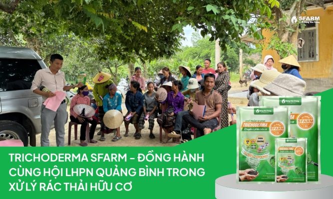 Trichoderma SFARM chuyên ủ phân hữu cơ – Giải pháp đồng hành cùng phụ nữ Quảng Bình trong xử lý rác thải
