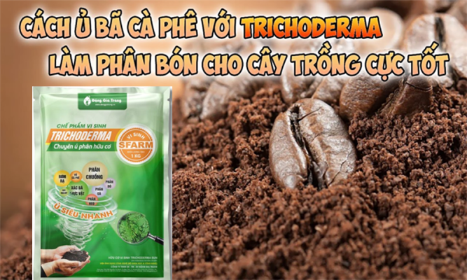 Cách ủ bã cà phê bón cây hiệu quả tại nhà