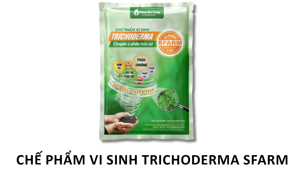 Trichoderma là gì?