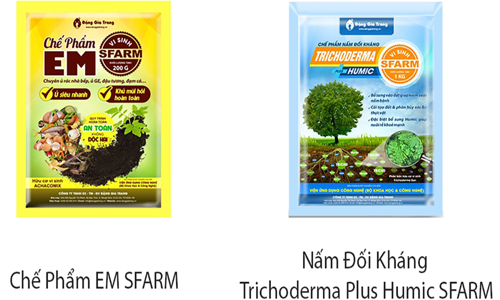 Gợi ý phân bón và sản phẩm sinh học nên dùng
