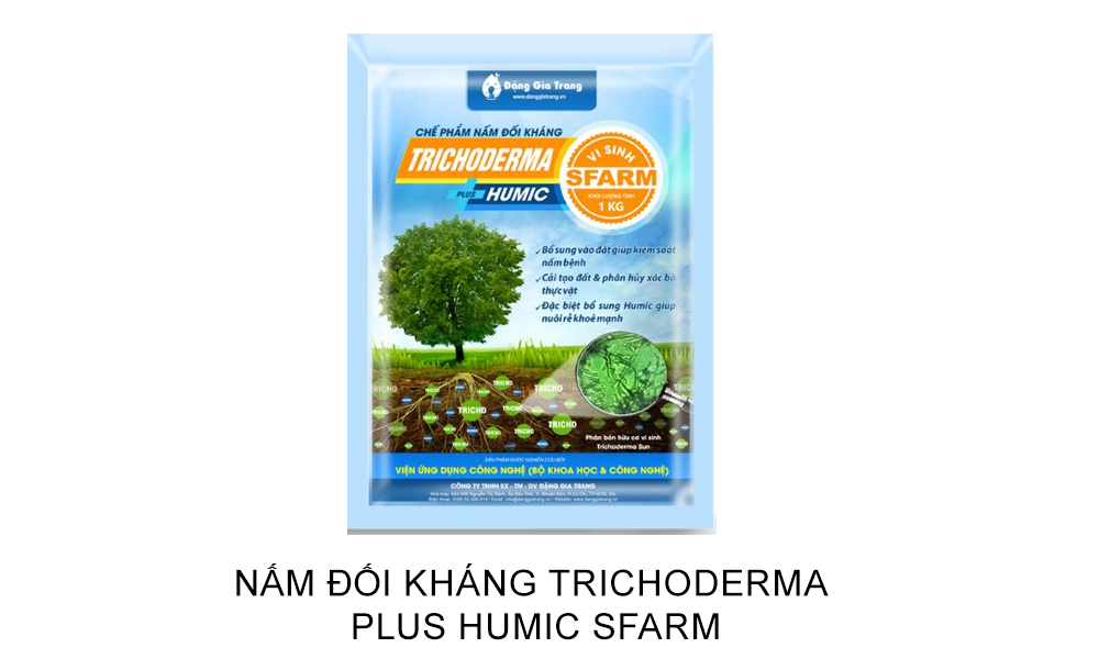 Trichoderma là gì? Có an toàn không?