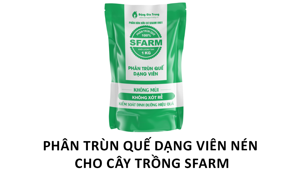 Phân trùn quế và tác dụng đối với cây trồng