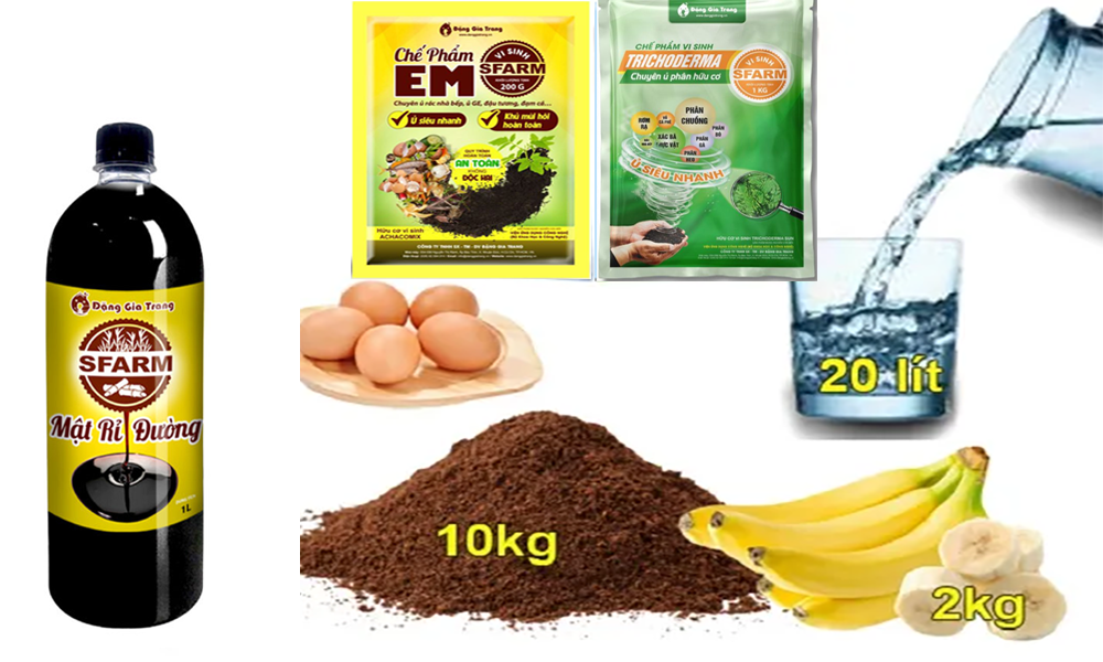 Các cách ủ bã cà phê phổ biến hiện nay