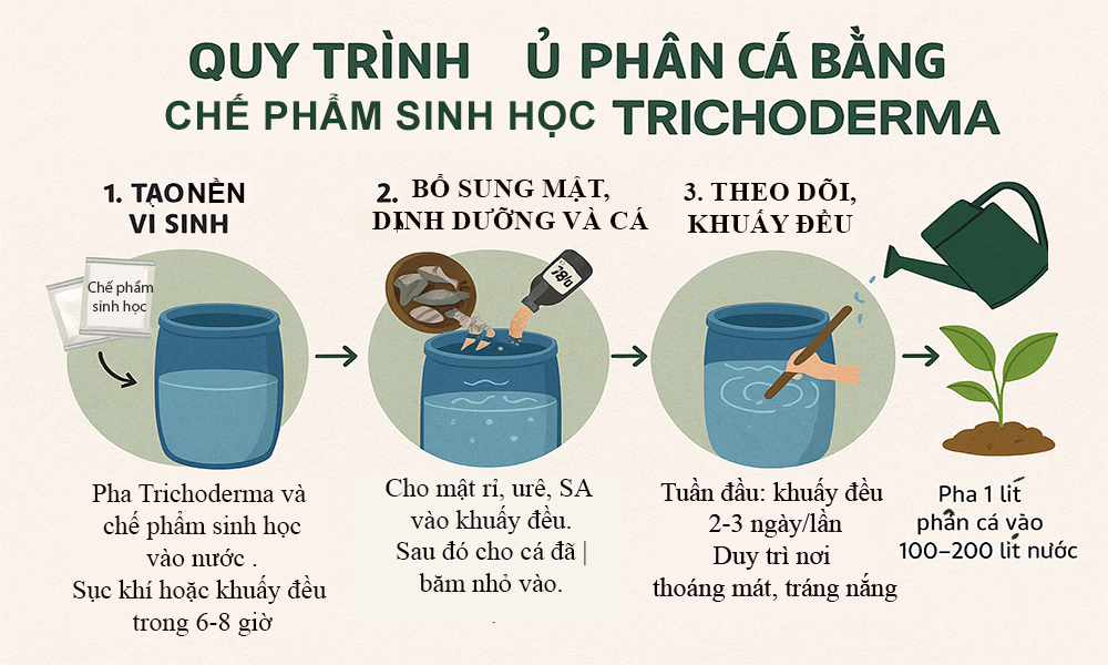 Quy trình ủ phân cá với nấm Trichoderma đúng kỹ thuật