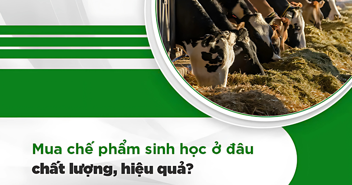 Mua chế phẩm sinh học ở đâu chất lượng, hiệu quả 