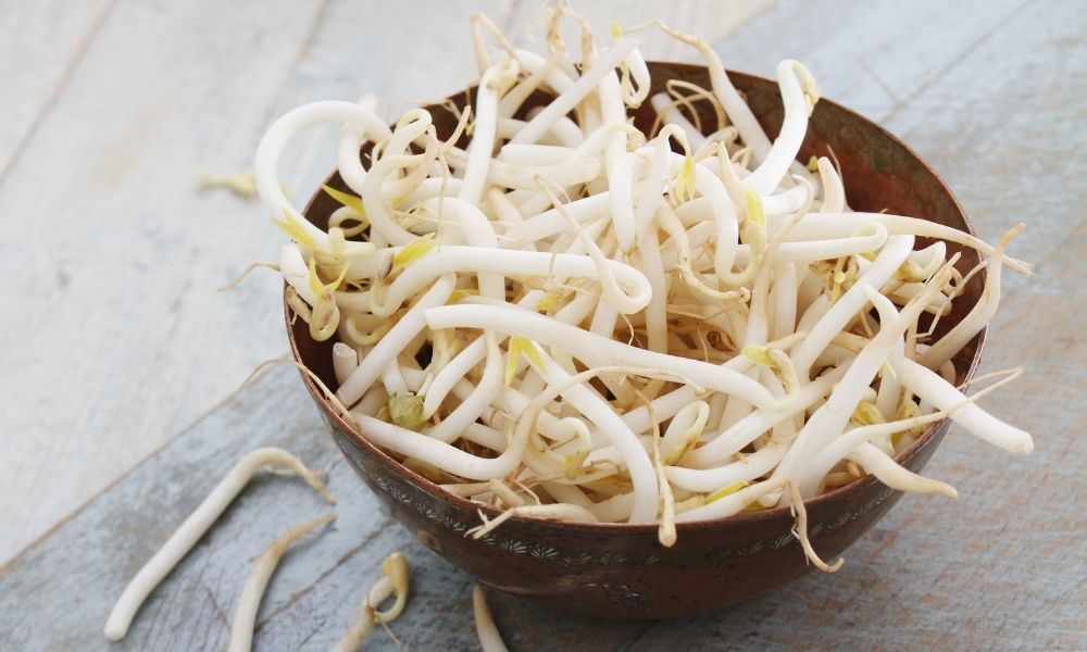 Đây là lựa chọn lý tưởng cho những ai yêu thích tự tay làm rau tại nhà Đây là lựa chọn lý tưởng cho những ai yêu thích tự tay làm rau tại nhà