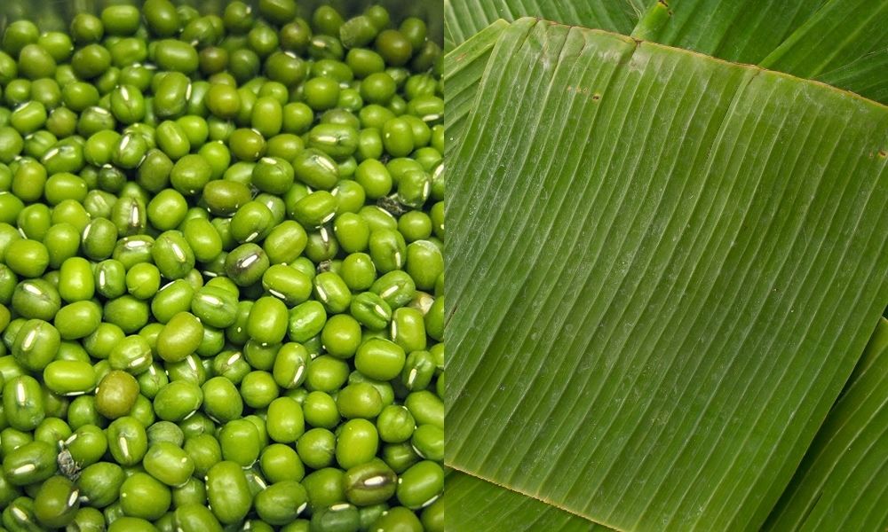 Nguyên liệu chính chỉ cần hạt đỗ xanh và lá chuối Nguyên liệu chính chỉ cần hạt đỗ xanh và lá chuối