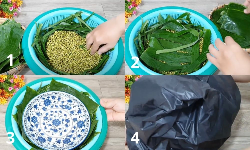 Chi tiết các bước làm giá đỗ bằng lá chuối Chi tiết các bước làm giá đỗ bằng lá chuối