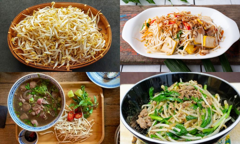 Thành phẩm giá trắng nõn, bạn có thể sử dụng linh hoạt trong nhiều món ăn Thành phẩm giá trắng nõn, bạn có thể sử dụng linh hoạt trong nhiều món ăn