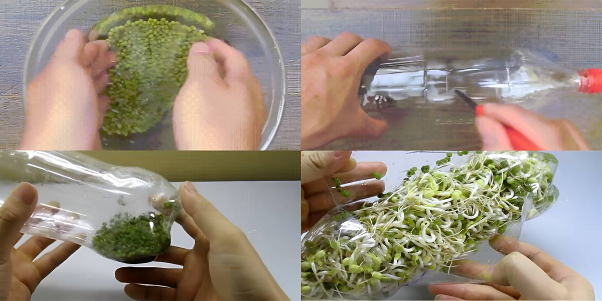 Chuẩn bị nguyên liệu