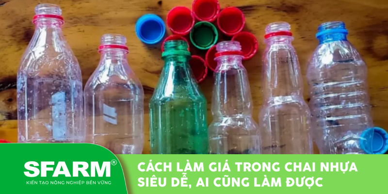Cách làm giá trong chai nhựa siêu dễ, ai cũng làm được