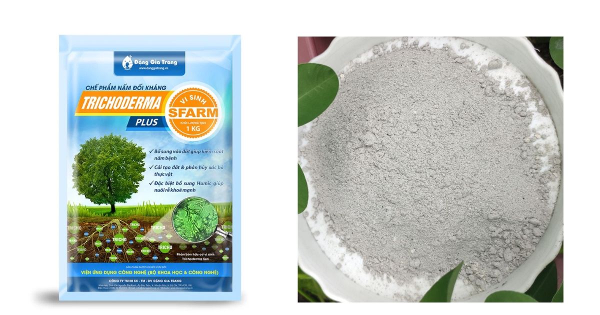 Chế phẩm nấm đối kháng Trichoderma Plus Humic SFARM Chế phẩm nấm đối kháng Trichoderma Plus Humic SFARM