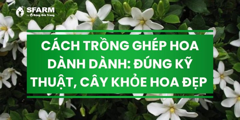 cach trong ghep hoa danh danh dung ky thuat thumb 2 1