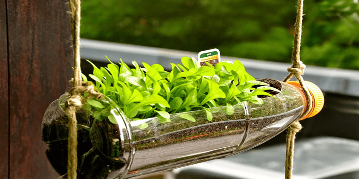 Chuẩn bị dụng cụ và nguyên liệu
