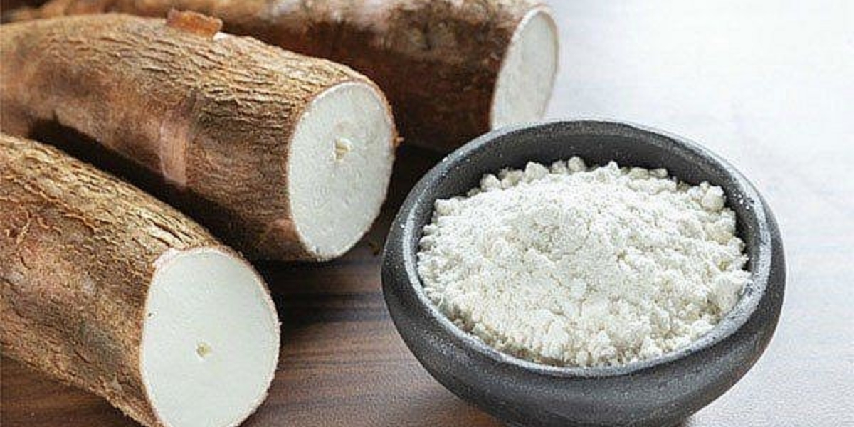 Cách trồng sắn dây cho củ to chuẩn kỹ thuật Cách trồng sắn dây cho củ to chuẩn kỹ thuật