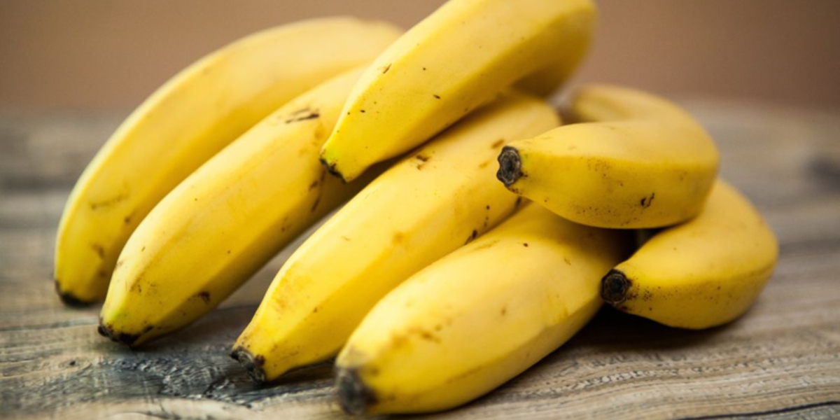 Chuối laba mang lại nhiều giá trị kinh tế Chuối laba mang lại nhiều giá trị kinh tế