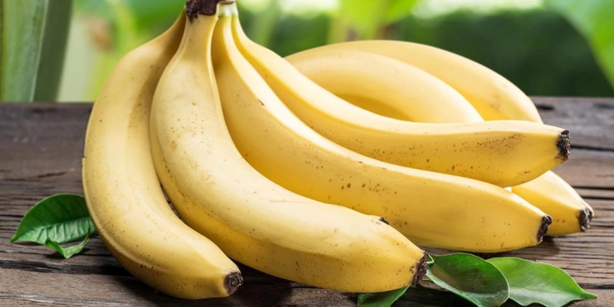 Những câu hỏi thường gặp về chuối laba Những câu hỏi thường gặp về chuối laba