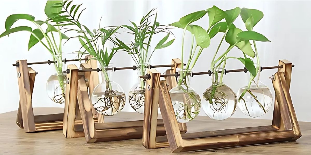 Trồng cây không dùng đất mang lại sự nhỏ gọn, tối giản Trồng cây không dùng đất mang lại sự nhỏ gọn, tối giản