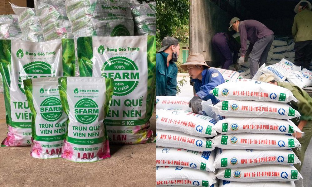 Phân bón là nhóm vật tư không thể thiếu Phân bón là nhóm vật tư không thể thiếu