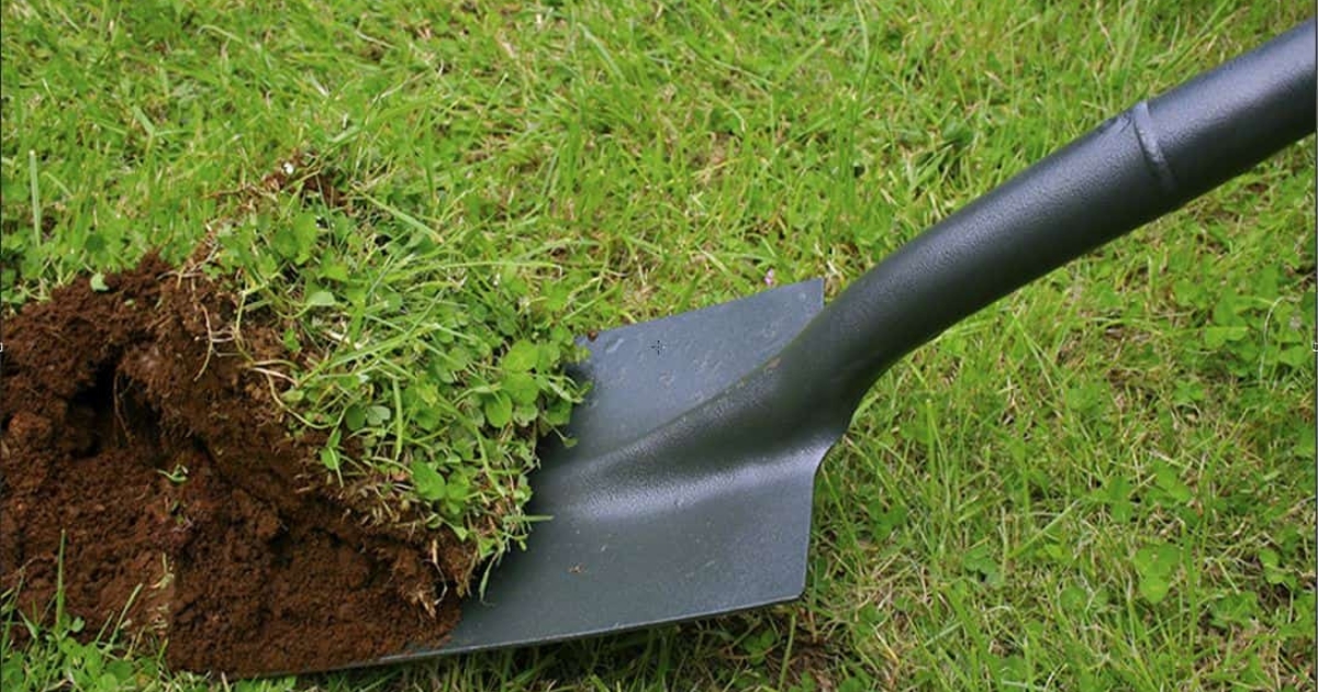 Dùng lá cây cho đất giúp cải thiện cấu trúc và giữ ẩm Dùng lá cây cho đất giúp cải thiện cấu trúc và giữ ẩm