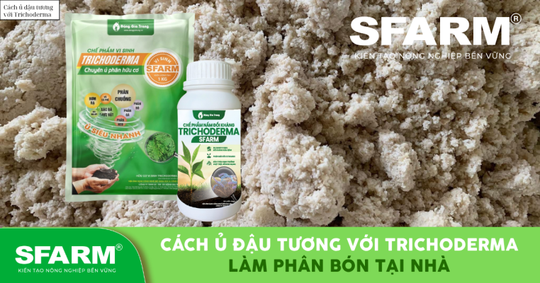 Ban sao cua New Hinh SFARM 14