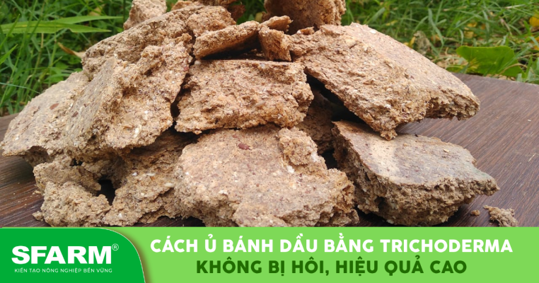Ban sao cua New Hinh SFARM 15