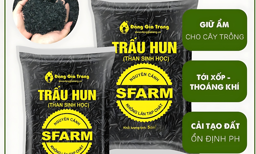 Trấu hun Biochar