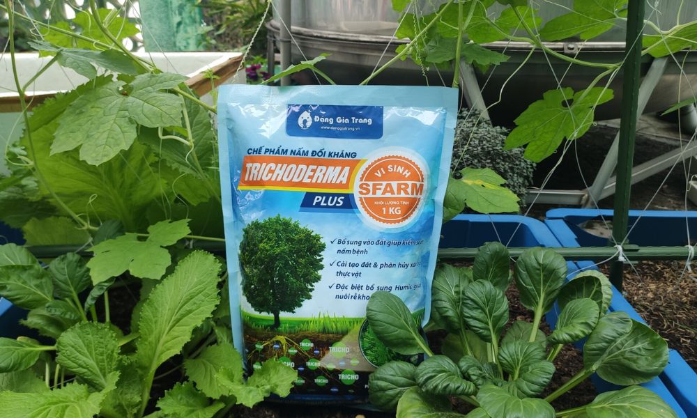 Trichoderma SFARM xanh dương dạng túi