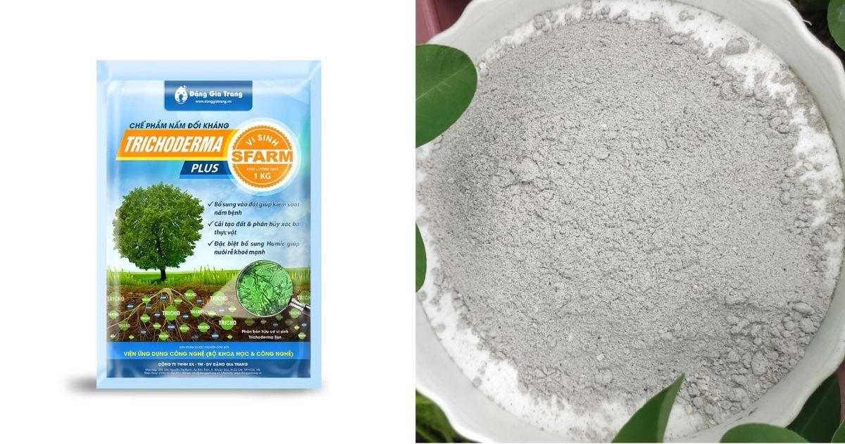 Chế phẩm nấm đối kháng Trichoderma Plus SFARM Chế phẩm nấm đối kháng Trichoderma Plus SFARM