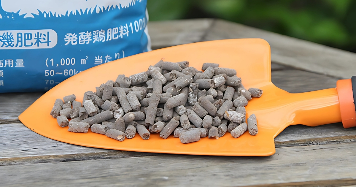 Phân gà dạng nén cung cấp dưỡng chất nhiều cho cây ớt