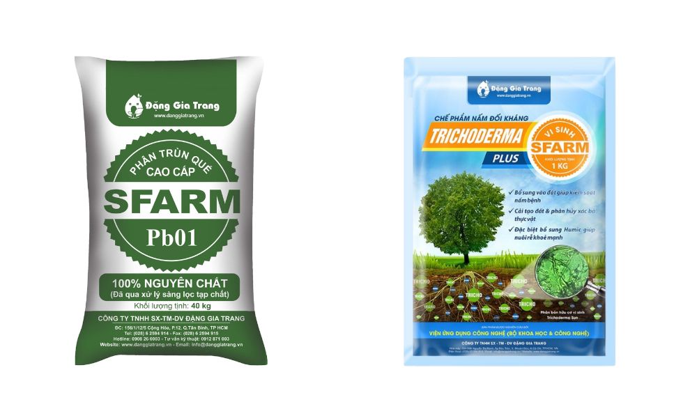 phân trùn quế Pb01 và Trichoderma xanh dương