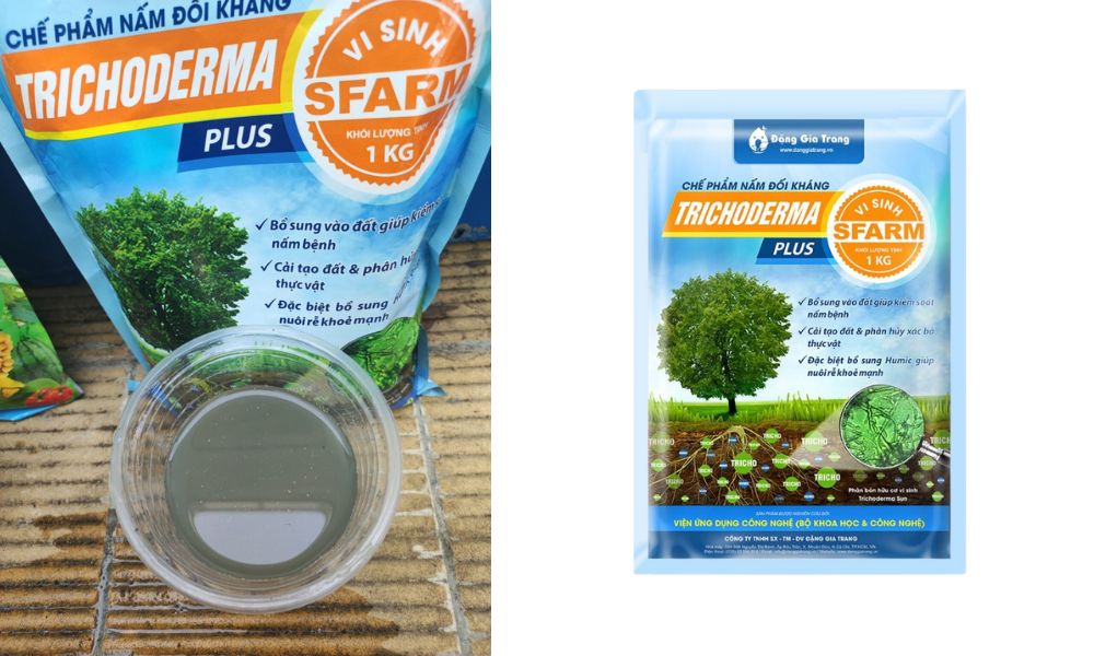 Trichoderma xanh dương