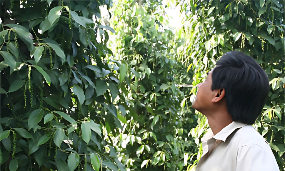 Tiêu Lộc Ninh