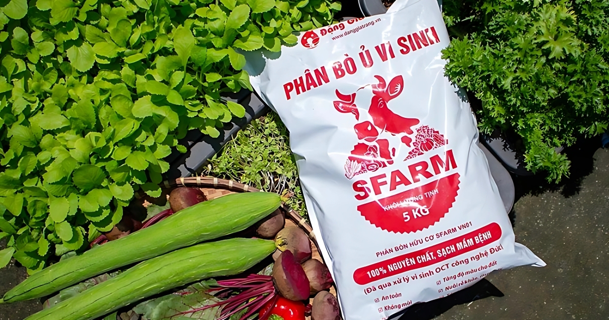 Phân bò với giá trị dinh dưỡng cao