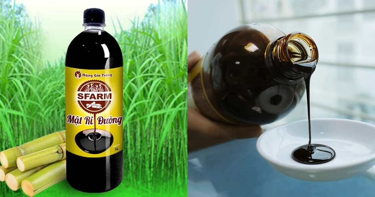 Bón Trichoderma cho sầu riêng khi ủ với mật rỉ đường giúp hiệu quả khi bón đất