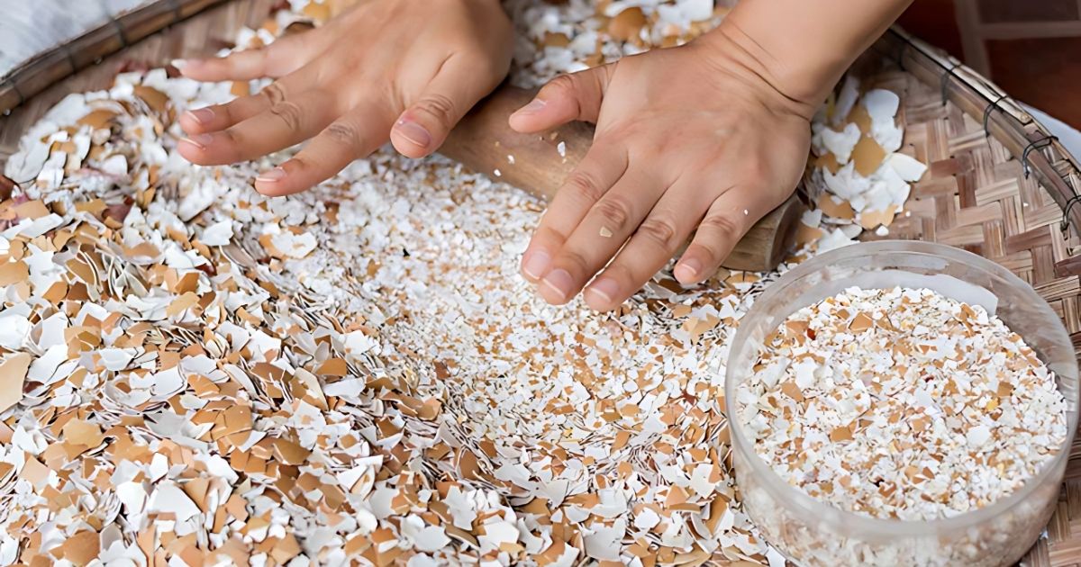 Tự làm vỏ trứng tại nhà