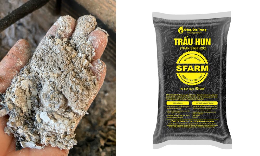Tro bếp và trấu hun SFARM