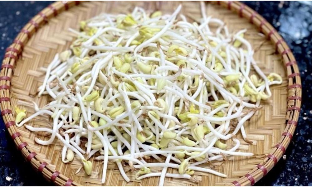 Chọn hạt chất lượng và điều kiện ủ giá tốt