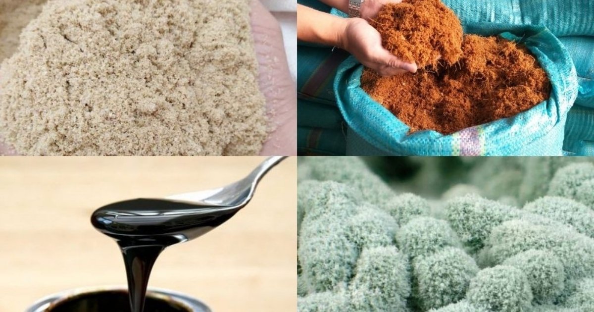 Cách làm nấm Trichoderma tại nhà: Hướng dẫn chi tiết từ A đến Z