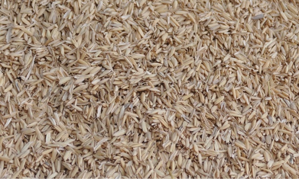Vỏ trấu chưa qua xử li