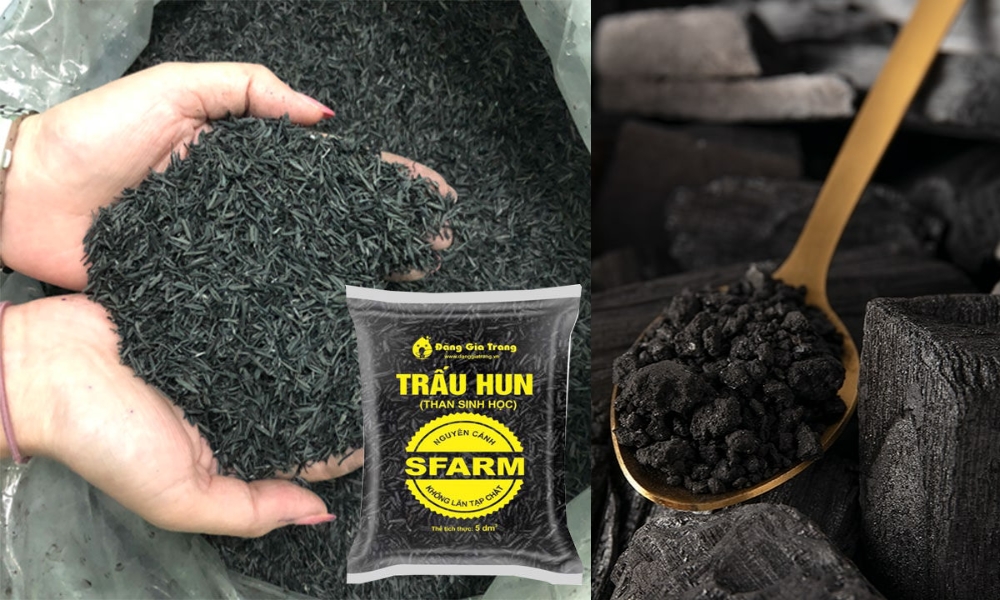 ưu tiên trấu hun SFARM để loại bỏ sâu bệnh, bọ mạt và tạp chất