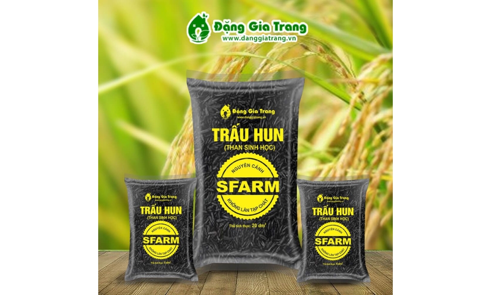 Trấu hun SFARM ứng dụng làm than hoạt tính