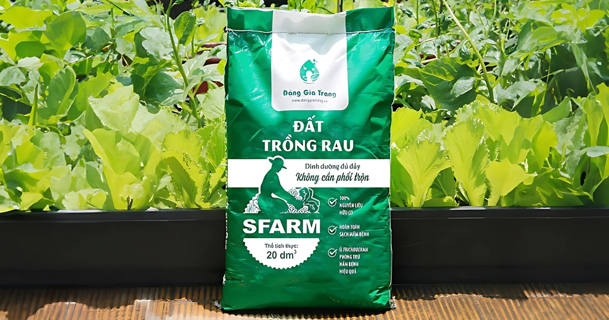 Cách làm tháp trồng rau xà lách bằng đất trồng rau