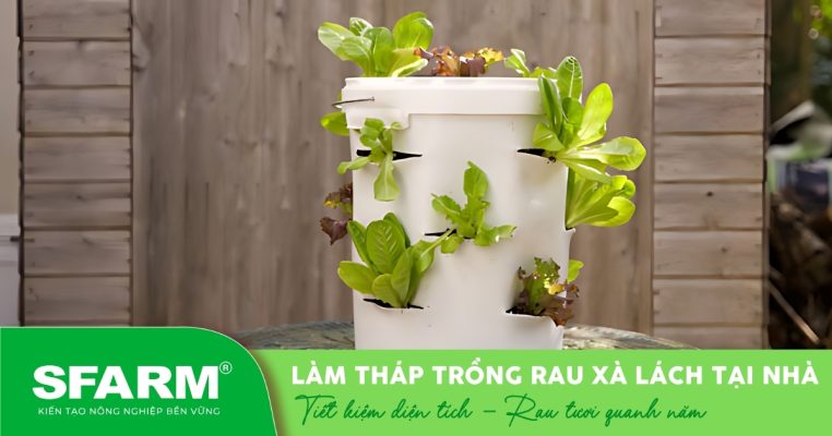 Tháp rau xà lách tự làm tại nhà – giải pháp tiết kiệm diện tích, dễ chăm sóc