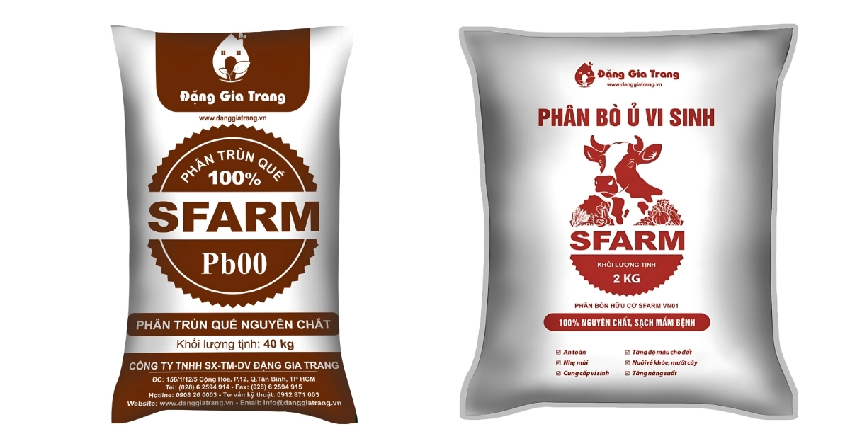 Bón phân trùn quế hoặc phân bò ủ vi sinh cho cây phát triển