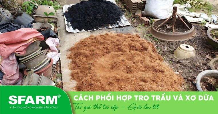 Phơi nguyên liệu trước khi trộn giúp loại bỏ tạp chất, tăng hiệu quả khi sử dụng cho cây trồng.