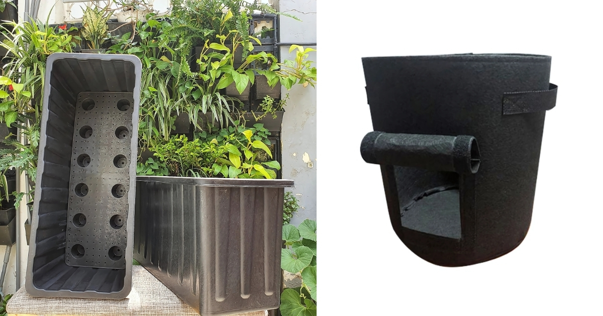 Sử dụng chậu nhựa hoặc túi vải để trồng khoai