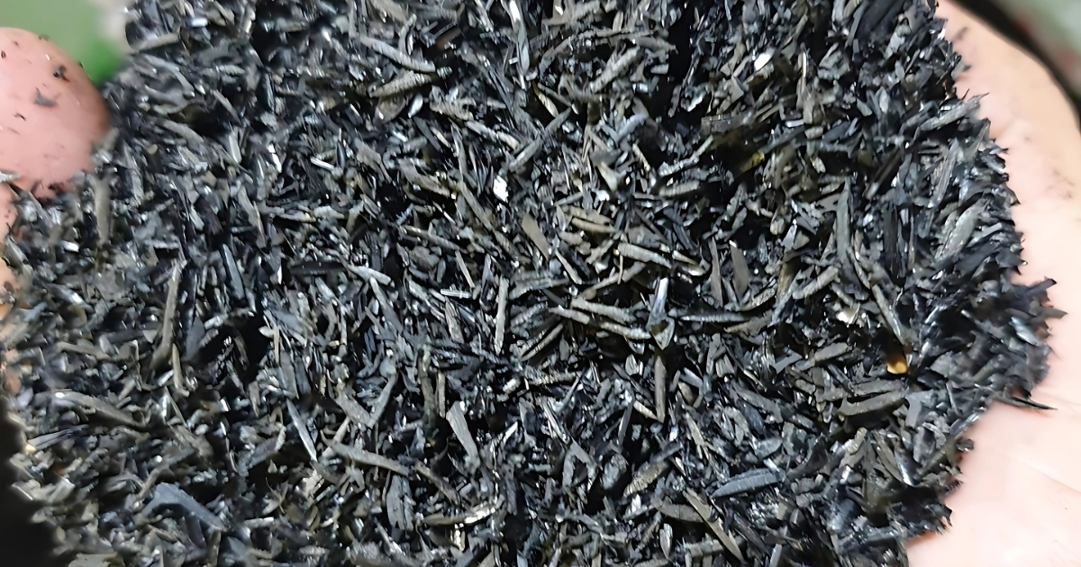 Cách trồng rau mầm bằng tro trấu tại nhà